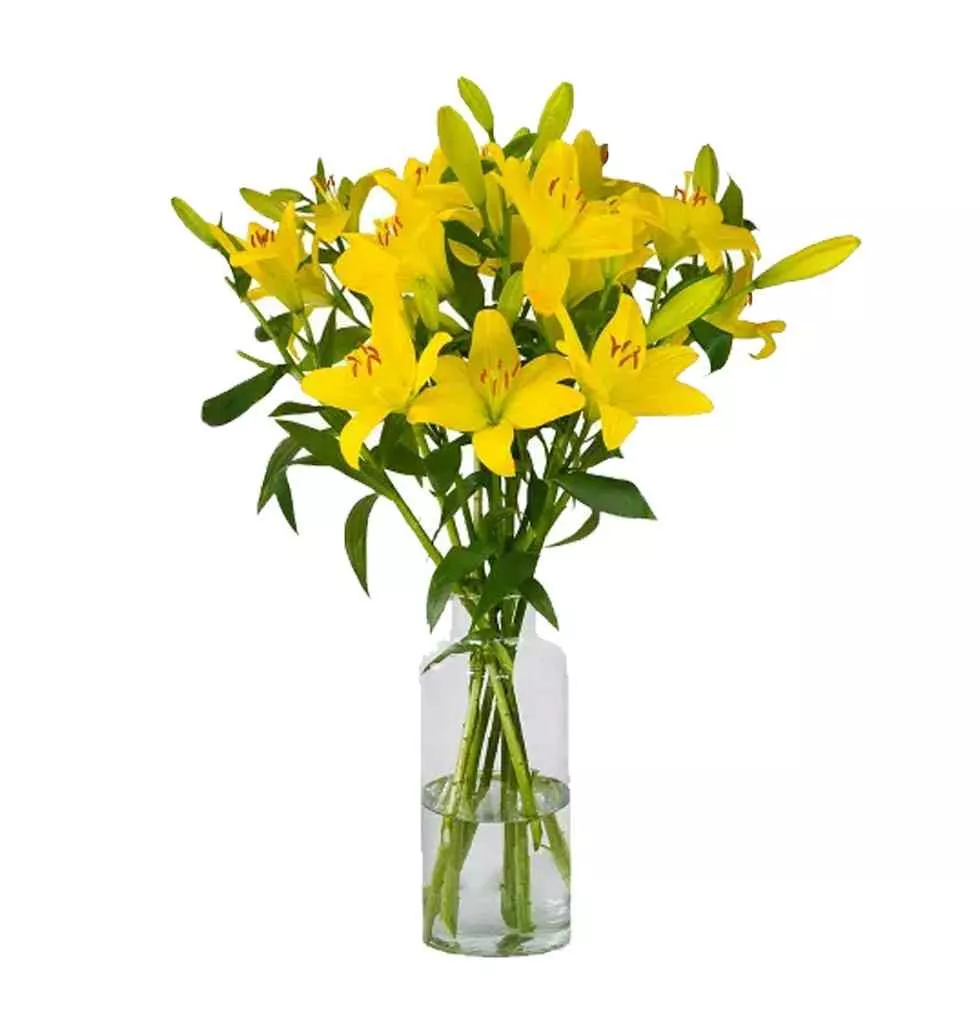 Yellow Lily Splendor