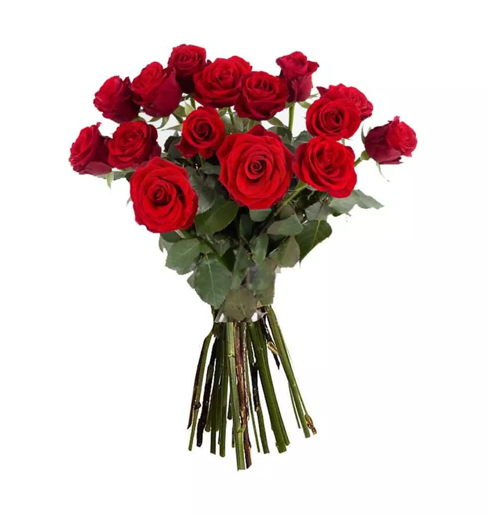 Radiant 15 Red Roses Bouquet