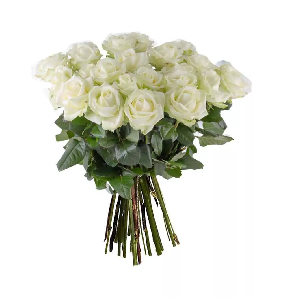 Timeless White Roses Bouquet