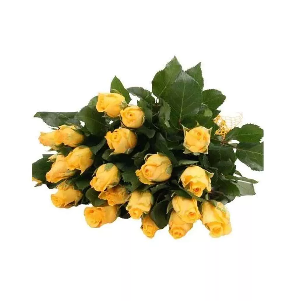 Yellow Joy: Radiant Blossoms