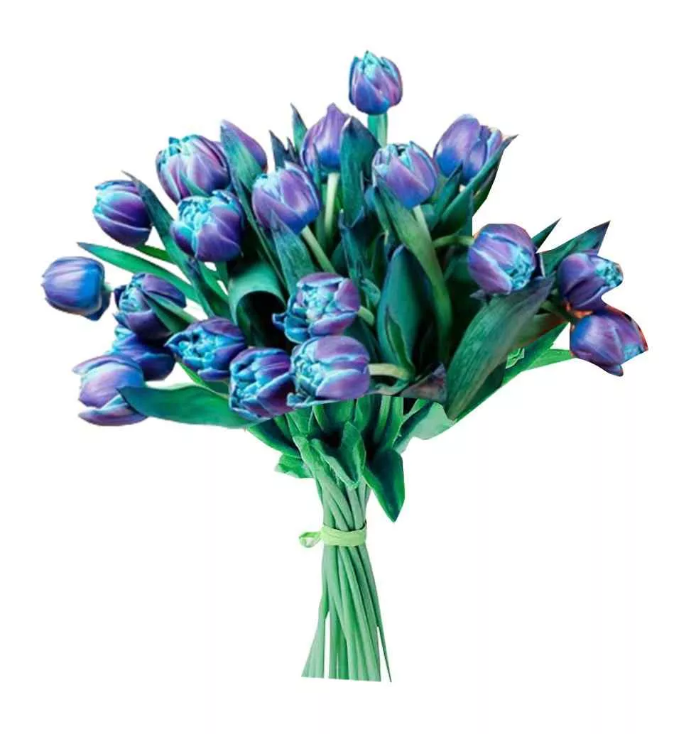 20 Tulips In Captivating Blue