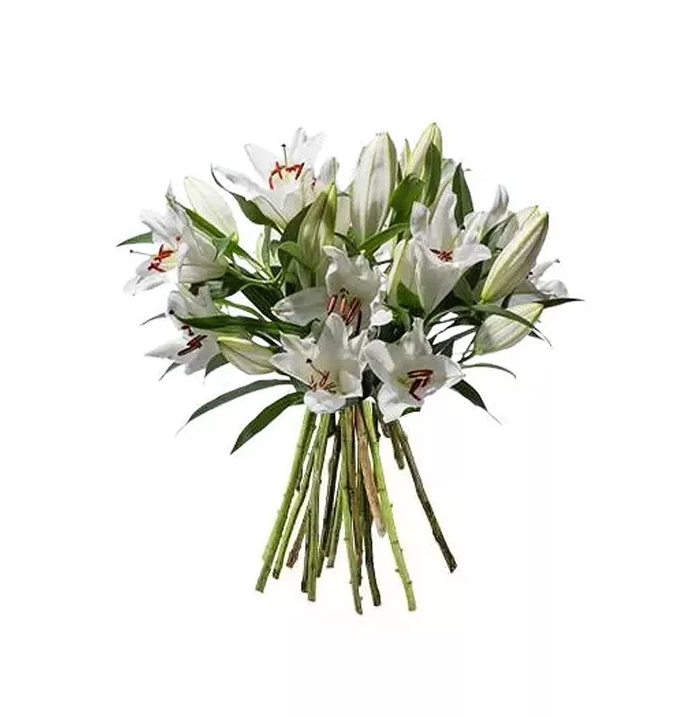 Serene White Lily Harmony