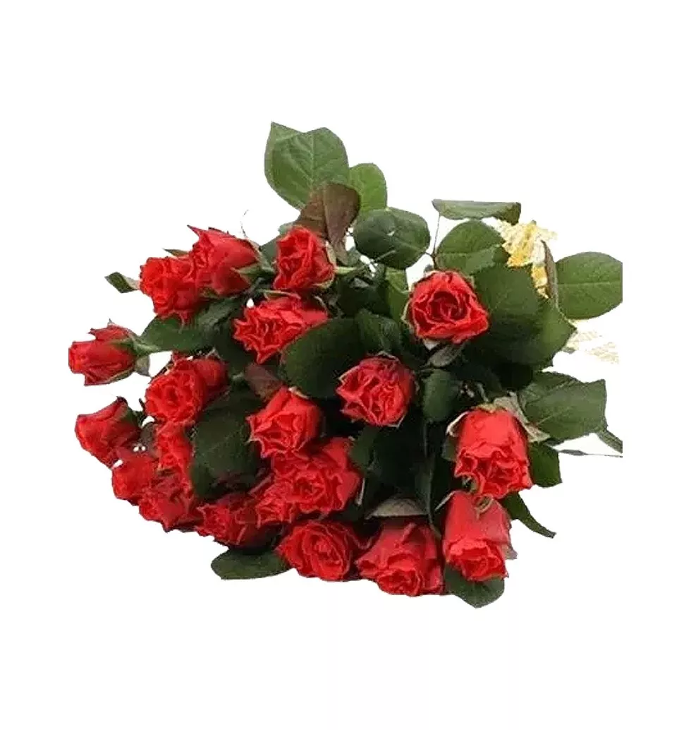 Romantic Red Rose Delight
