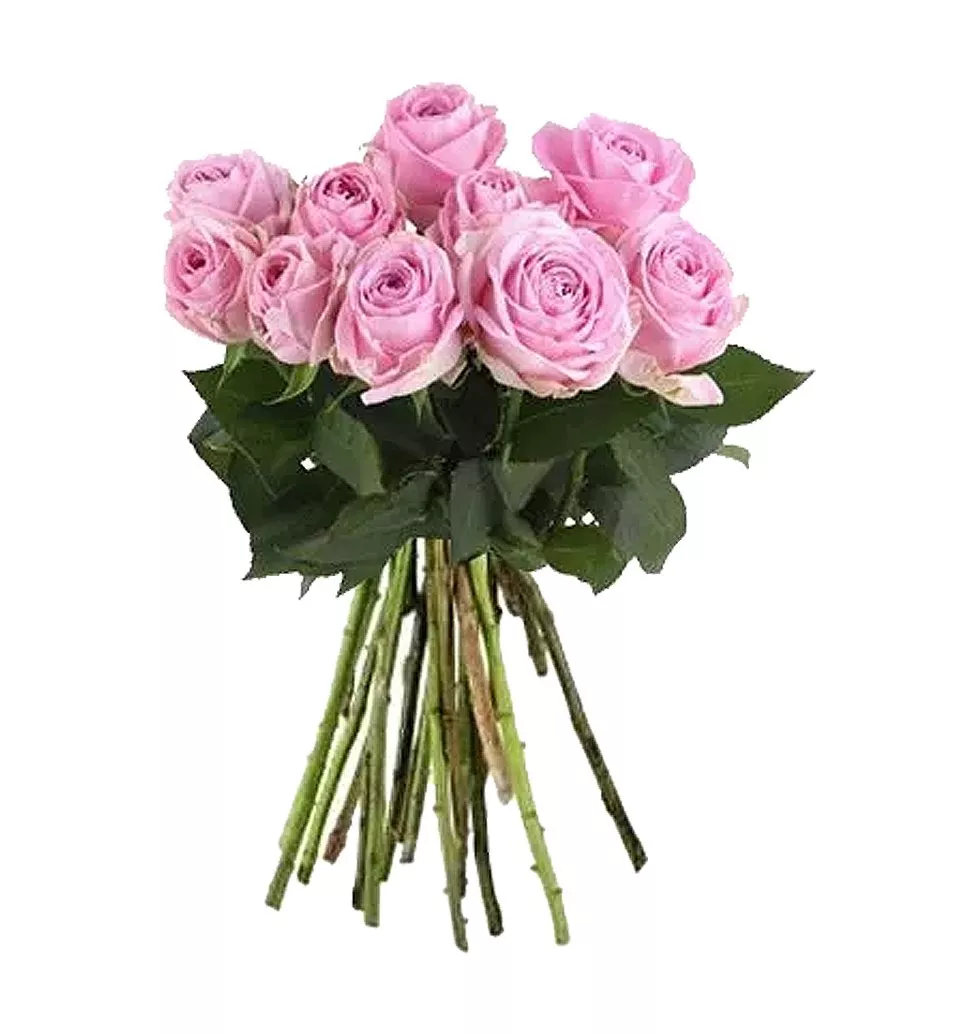 Petal Perfection: Pink Roses