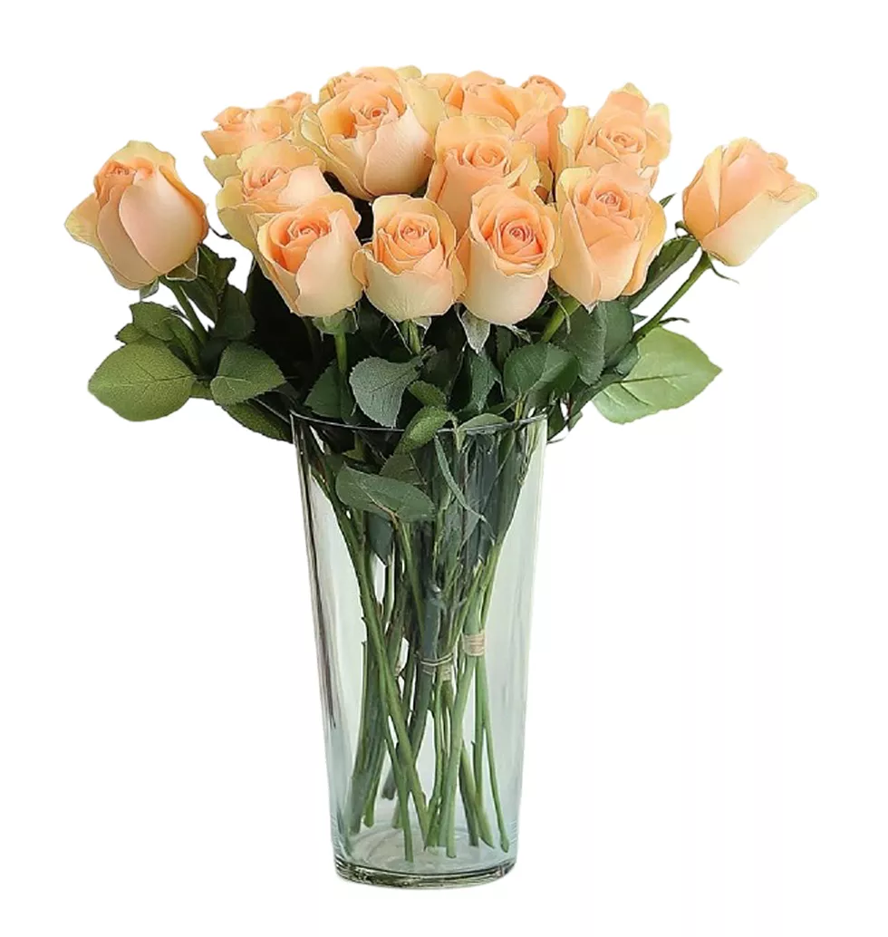 Lovely Peach Roses