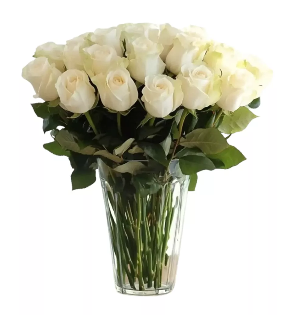 Delicate White Rose Collection