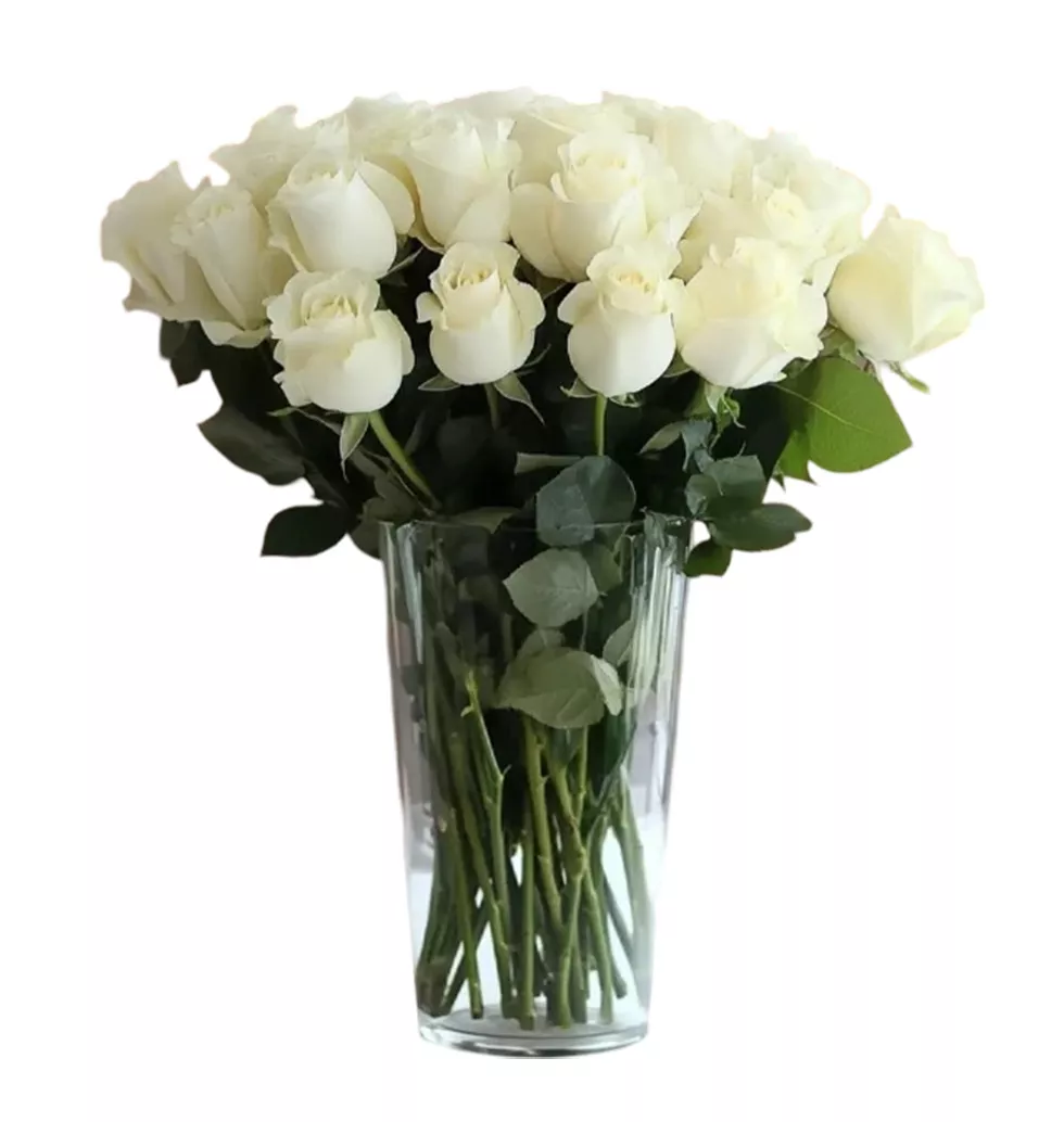 Radiant 18 White Roses Bouquet