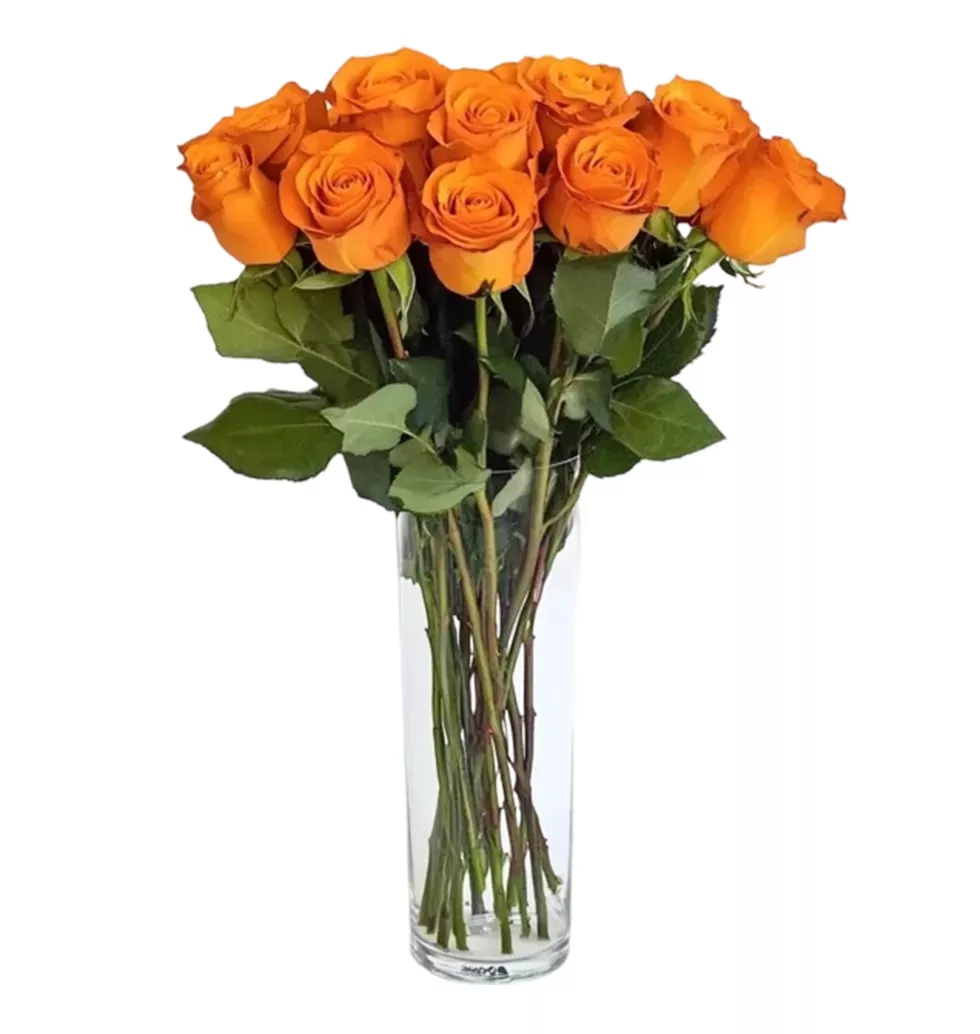 Radiant Orange: 10 Stunning Roses