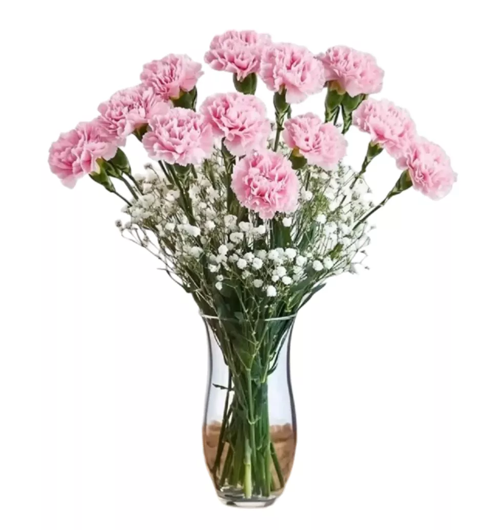 Finest Pink Carnations Bouquet