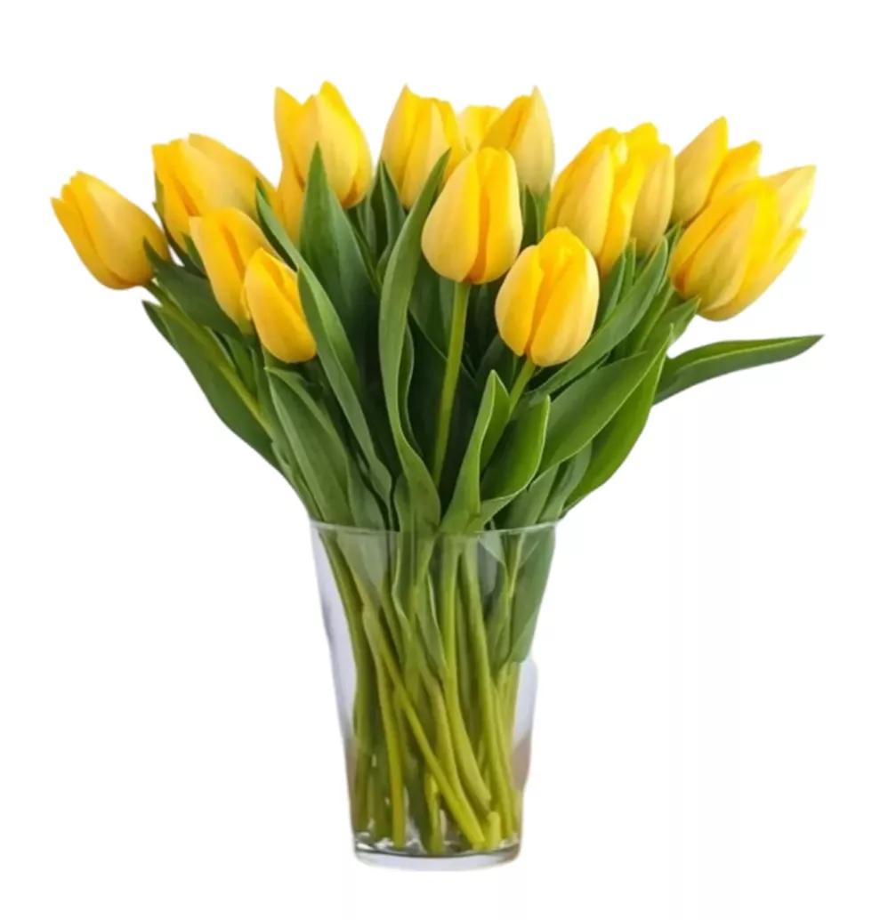 Joyful Blooms: Strong Gold Tulips