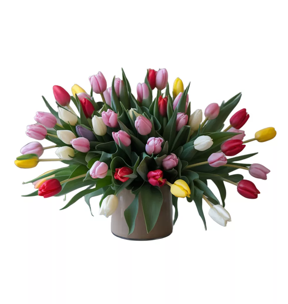 Tulip Harmony: 30 Stems of Joy