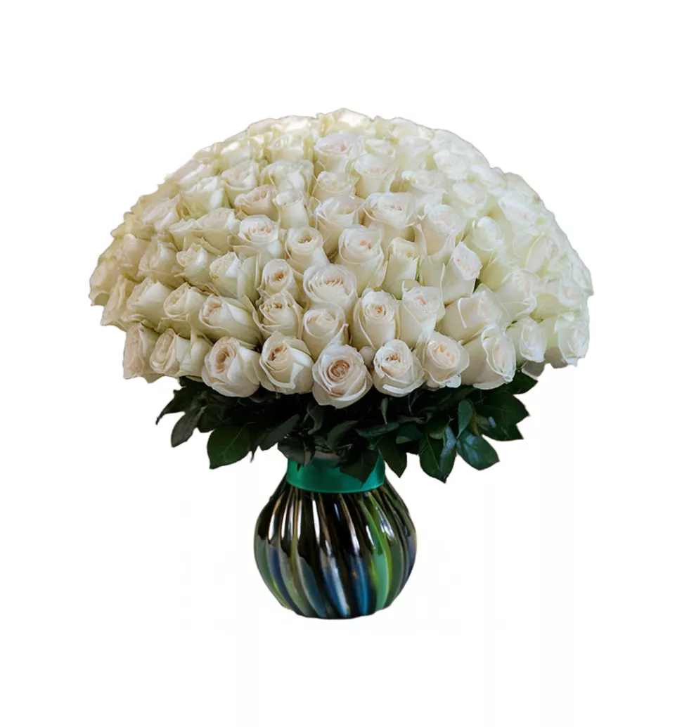 Classic Beauty: 100 Stemmed White Roses