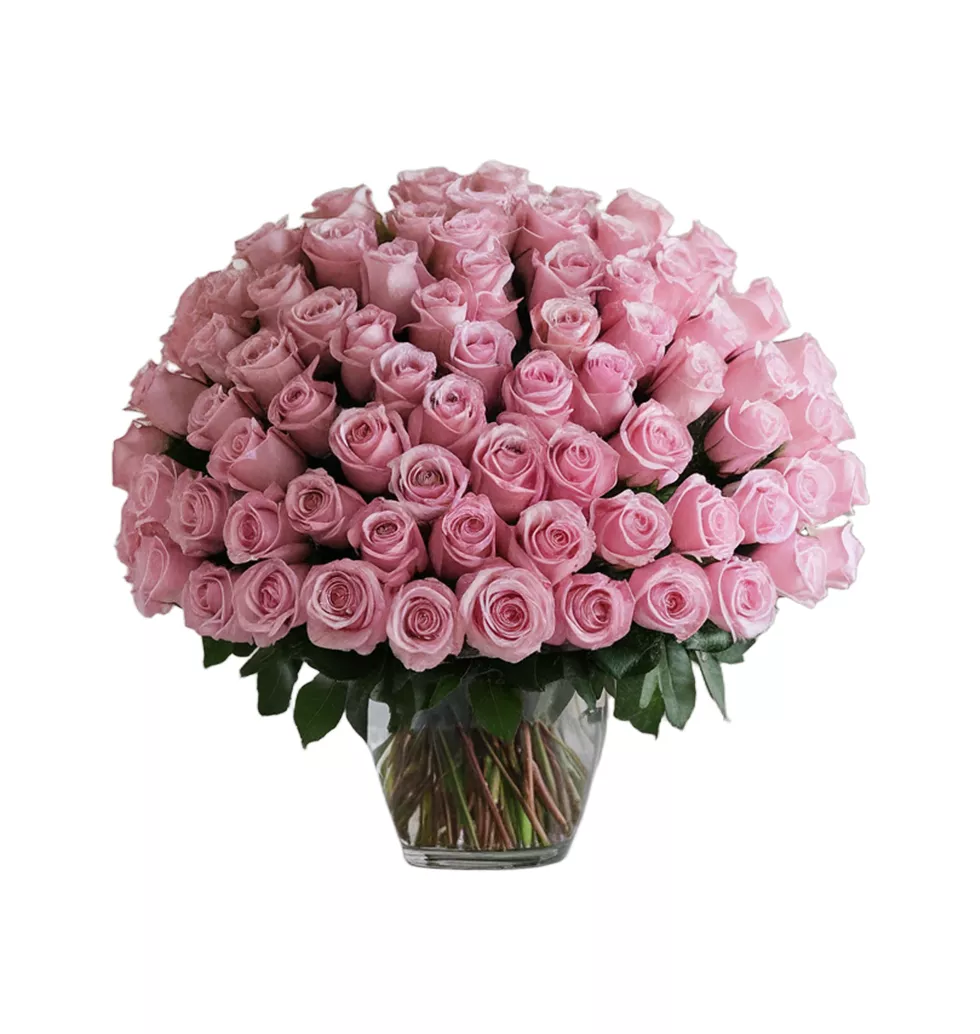 Soft Elegance: 100 Light Pink Roses