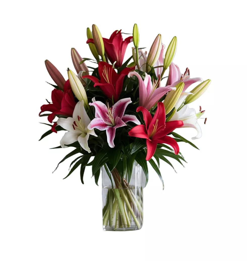 Enchanting Mix: 10 Vibrant Lily Stems