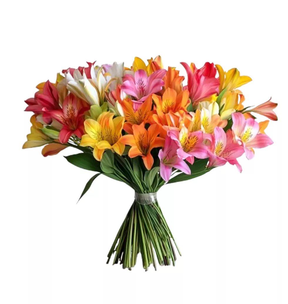 33 Colorful Lily Spectacle Bouquet